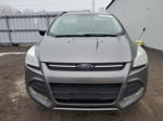 2014 Ford Escape Se Gray vin: 1FMCU0G99EUD96124