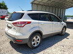 2015 Ford Escape Se White vin: 1FMCU0G99FUA66209