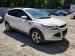 2015 Ford Escape Se White vin: 1FMCU0G99FUA66209