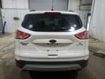 2014 Ford Escape Se Белый vin: 1FMCU0G9XEUB41949