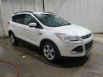 2014 Ford Escape Se Белый vin: 1FMCU0G9XEUB41949