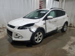 2014 Ford Escape Se White vin: 1FMCU0G9XEUB41949