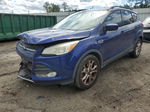 2016 Ford Escape Se Blue vin: 1FMCU0G9XGUB19419