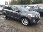 2017 Ford Escape Se Gray vin: 1FMCU0GD0HUE75710