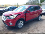 2019 Ford Escape Se Красный vin: 1FMCU0GD1KUB51950