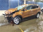 2017 Ford Escape Se Orange vin: 1FMCU0GD5HUD92404