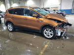 2017 Ford Escape Se Orange vin: 1FMCU0GD5HUD92404