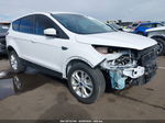 2019 Ford Escape Se White vin: 1FMCU0GD5KUA42083