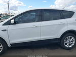 2019 Ford Escape Se White vin: 1FMCU0GD5KUA42083