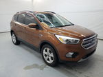 2017 Ford Escape Se Orange vin: 1FMCU0GD6HUC61109