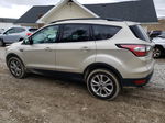 2017 Ford Escape Se Beige vin: 1FMCU0GD6HUC88584