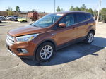 2017 Ford Escape Se Orange vin: 1FMCU0GD6HUE83813