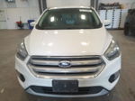 2019 Ford Escape Se Белый vin: 1FMCU0GD7KUB01683