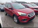 2017 Ford Escape Se Burgundy vin: 1FMCU0GD8HUB99311