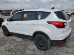 2019 Ford Escape Se Белый vin: 1FMCU0GD8KUA56706