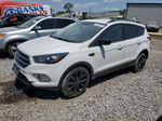 2019 Ford Escape Se White vin: 1FMCU0GD8KUB09338