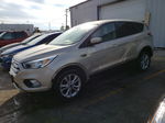 2017 Ford Escape Se Beige vin: 1FMCU0GD9HUA77055