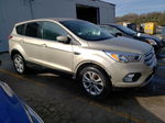 2017 Ford Escape Se Beige vin: 1FMCU0GD9HUA77055