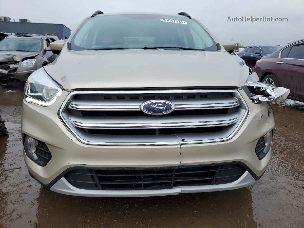 2017 Ford Escape Se Золотой vin: 1FMCU0GD9HUA79288