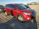 2019 Ford Escape Se Red vin: 1FMCU0GD9KUA29787