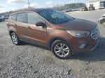 2017 Ford Escape Se Оранжевый vin: 1FMCU0GDXHUE63306