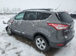 2013 Ford Escape Se Gray vin: 1FMCU0GX0DUD95117