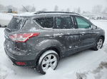 2013 Ford Escape Se Gray vin: 1FMCU0GX0DUD95117