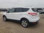 2014 Ford Escape Se White vin: 1FMCU0GX0EUA52163