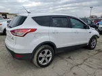 2014 Ford Escape Se White vin: 1FMCU0GX0EUA78780