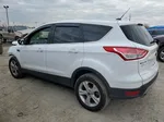 2014 Ford Escape Se Белый vin: 1FMCU0GX0EUA78780