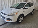 2014 Ford Escape Se vin: 1FMCU0GX0EUD26168