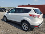 2014 Ford Escape Se White vin: 1FMCU0GX0EUD77492