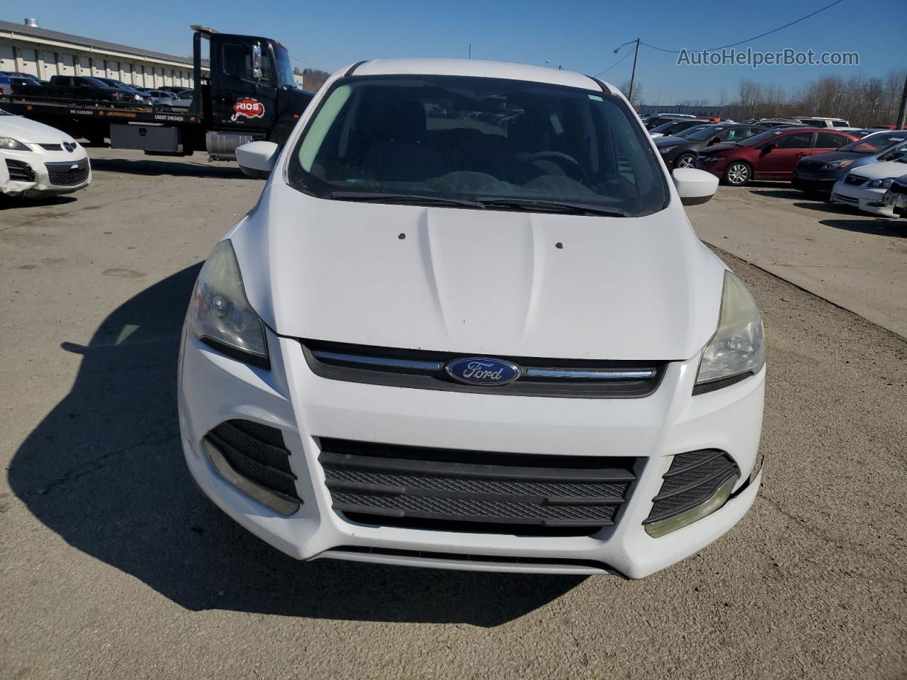 2015 Ford Escape Se White vin: 1FMCU0GX0FUA94043