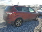 2015 Ford Escape Se Red vin: 1FMCU0GX0FUB02125