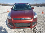 2015 Ford Escape Se Red vin: 1FMCU0GX0FUB02125