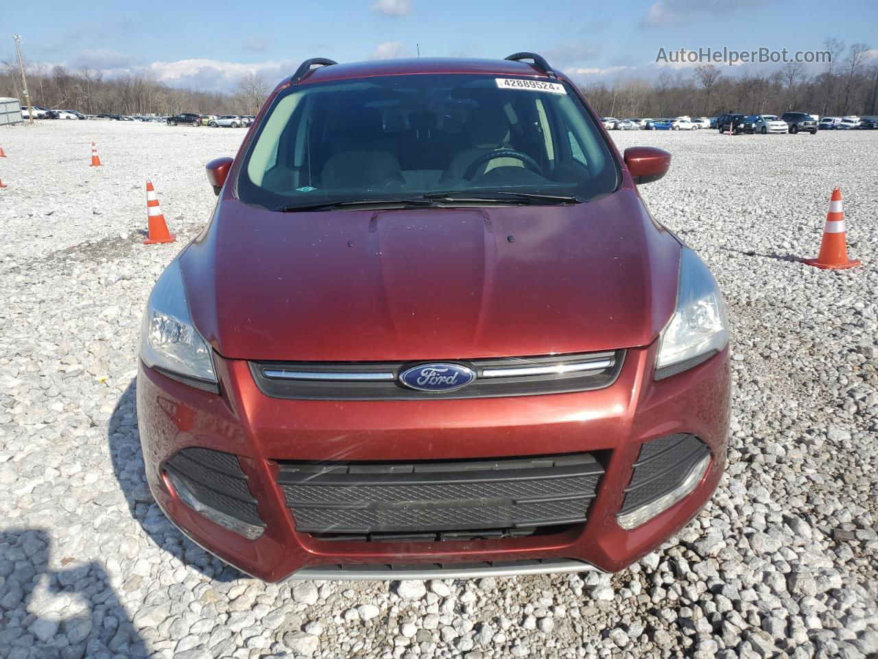 2015 Ford Escape Se Красный vin: 1FMCU0GX0FUB02125