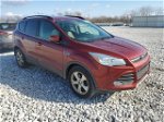 2015 Ford Escape Se Красный vin: 1FMCU0GX0FUB02125