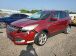 2015 Ford Escape Se Red vin: 1FMCU0GX0FUB10841