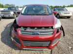 2015 Ford Escape Se Red vin: 1FMCU0GX0FUB10841