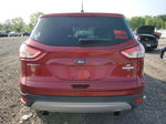 2015 Ford Escape Se Red vin: 1FMCU0GX0FUB10841