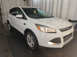 2015 Ford Escape Se vin: 1FMCU0GX0FUB34069