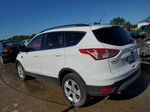 2016 Ford Escape Se White vin: 1FMCU0GX0GUA95257