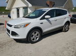 2013 Ford Escape Se White vin: 1FMCU0GX1DUA60853