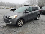 2014 Ford Escape Se Gray vin: 1FMCU0GX1EUD03031