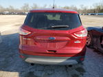 2014 Ford Escape Se Темно-бордовый vin: 1FMCU0GX1EUE52359