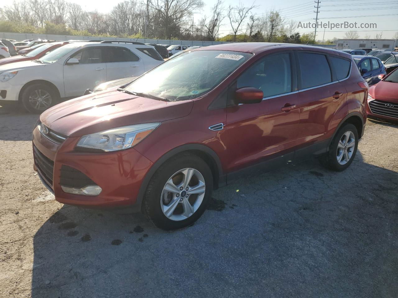 2014 Ford Escape Se Темно-бордовый vin: 1FMCU0GX1EUE52359