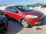 2014 Ford Escape Se Темно-бордовый vin: 1FMCU0GX1EUE52359