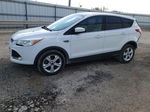 2015 Ford Escape Se Белый vin: 1FMCU0GX1FUB07785