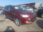 2015 Ford Escape Se Красный vin: 1FMCU0GX1FUB18236