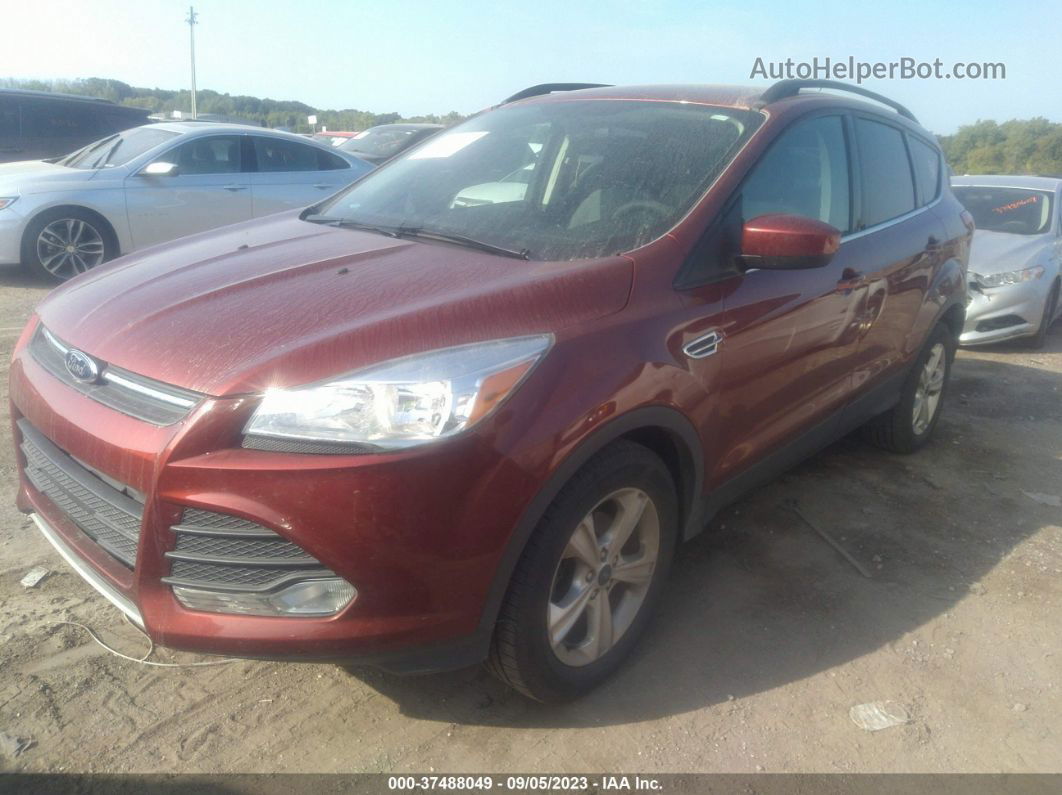 2015 Ford Escape Se Красный vin: 1FMCU0GX1FUB18236